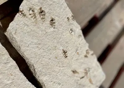 Rattlesnake Chopped Stone
