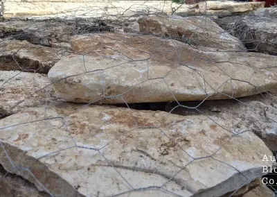 1 Inch Bone Flagstone