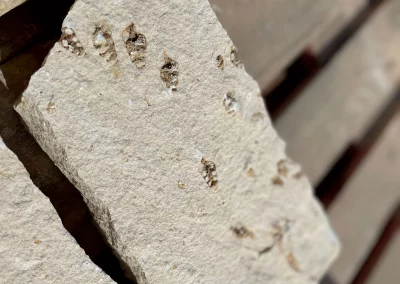 Rattlesnake Chopped Stone