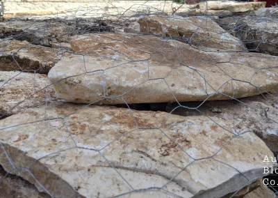 1 Inch Bone Flagstone